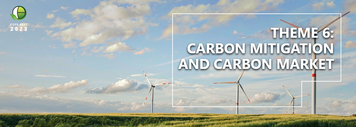 Theme 6: Carbon Mitigation and Carbon Market